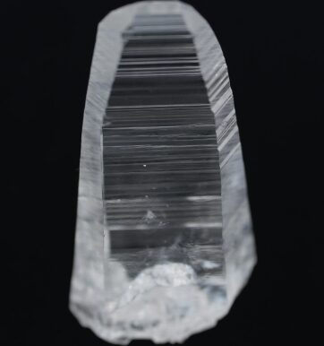 Lemurian_Seed.jpg